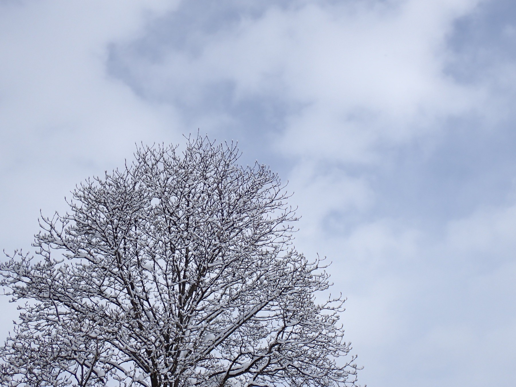 仕事の形が変わります。